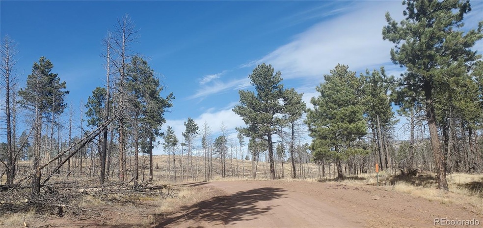 Lot 585 Leslie Loop unit 585, Fort Garland, CO 81133 - photo 1