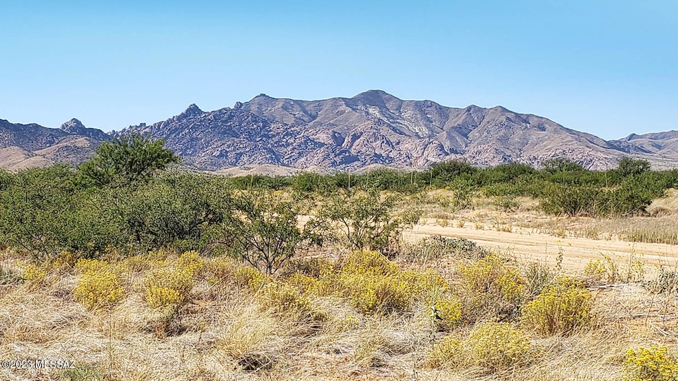 View West to Dragoons