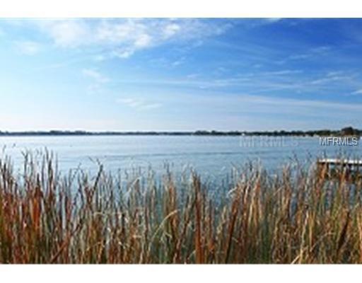 608 Lake Dora Dr, Tavares, FL 32778 - photo 1