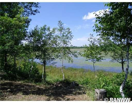 0 Dake Rd unit 892816, La Follette Township, WI 54893 - photo 1