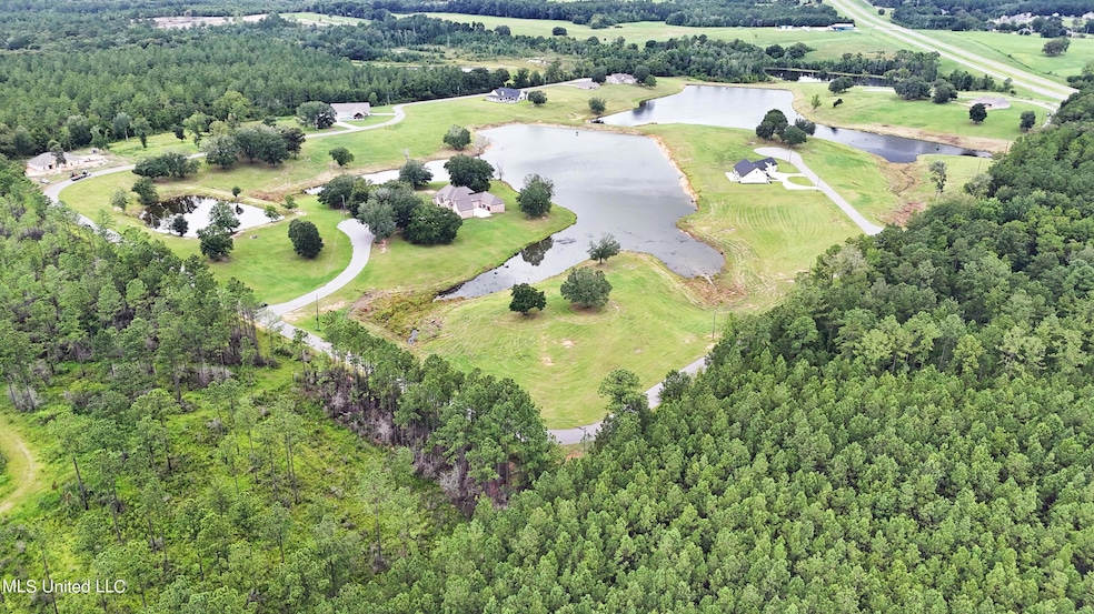 Lot 21 Gracies Way, Lucedale, MS 39452 - photo 1