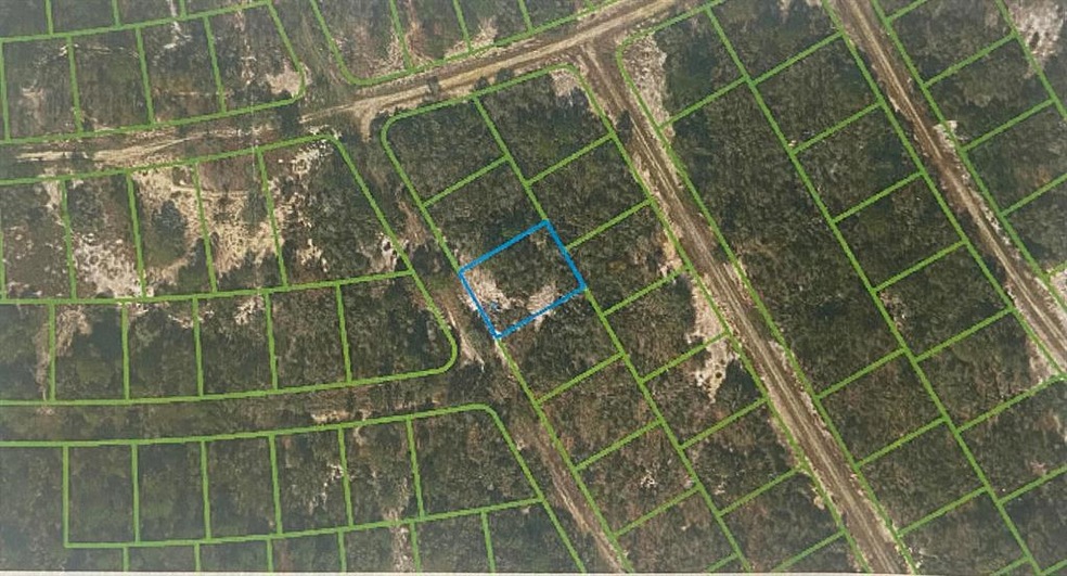 295 Blue Horizon Dr, Lake Placid, FL 33852 - photo 1