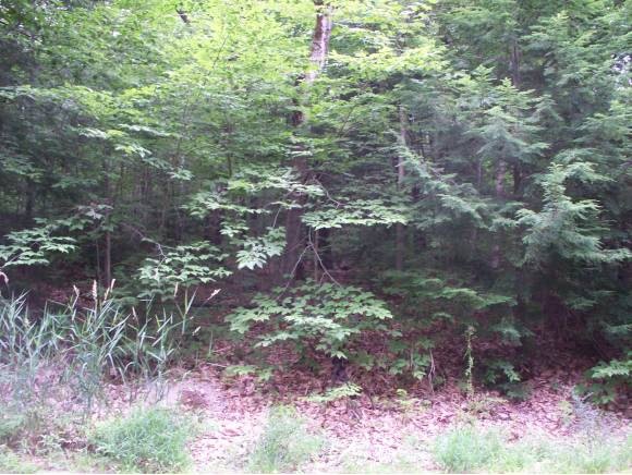 0 Buzzell Rd unit 4175415, Acton, ME 04001 - photo 1