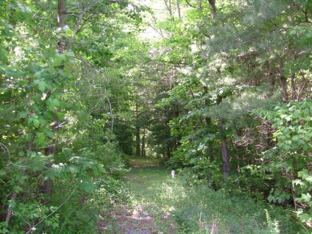 Wooded property