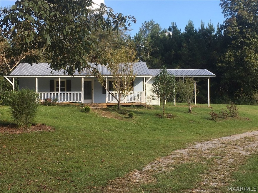 18282 Highway 125, Brundidge, AL 36010 - photo 1