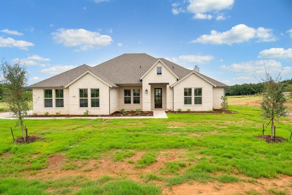 274 Odell Rd, Springtown, TX 76082 - photo 1