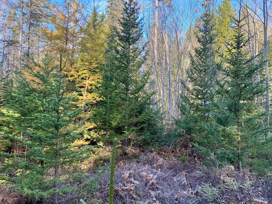 Sold $225,000 • Co-Listing Agent