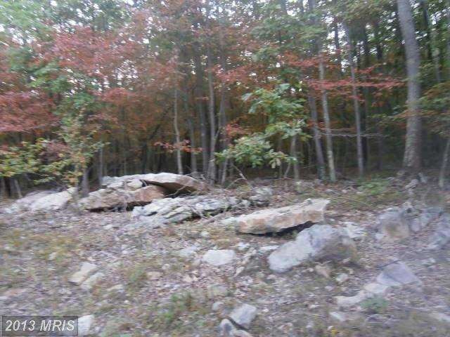 0 Roberts Ln unit 1003733060, Great Cacapon, WV 25422 - photo 1