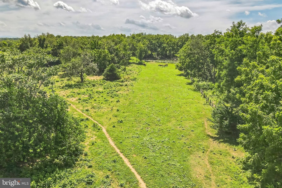 1683 Withers Larue Rd, Berryville, VA 22611 - photo 1
