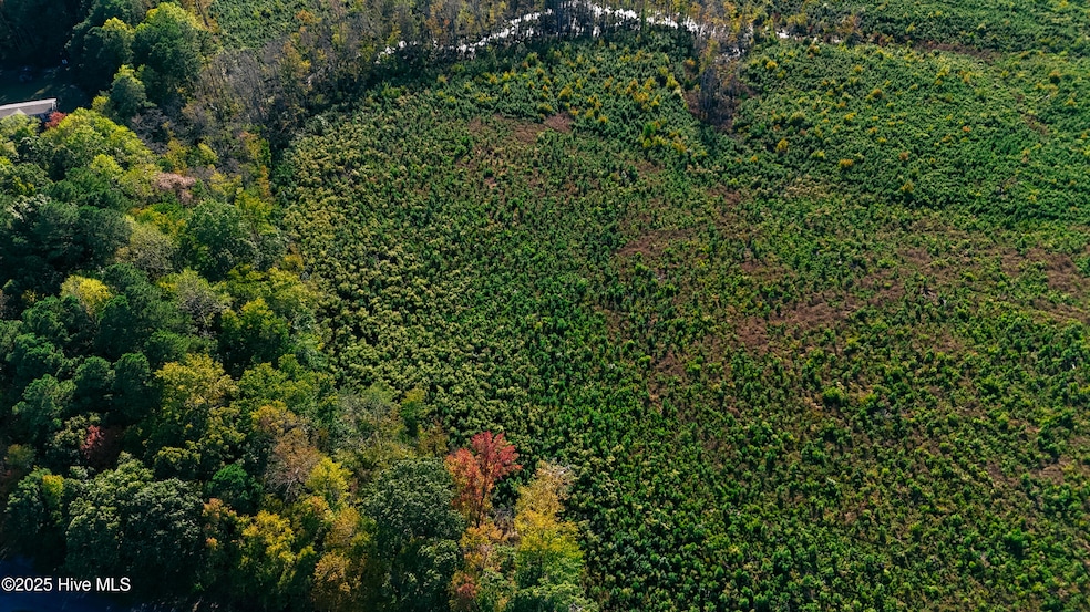 0 Cove Rd, New Hope, NC 27944 - photo 1