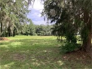 Lot 21 Sutherland Bluff Dr NE, Townsend, GA 31331 - photo 1