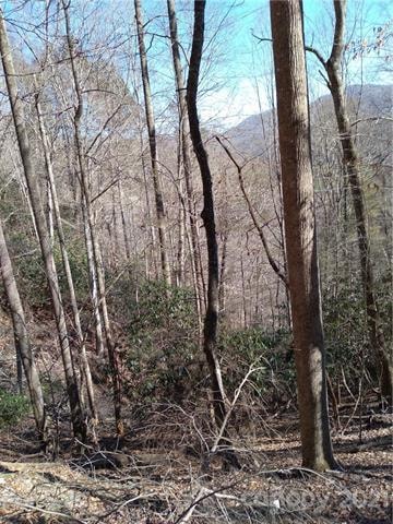 9999 Little Creek Rd, Burnsville, NC 28714 - photo 1