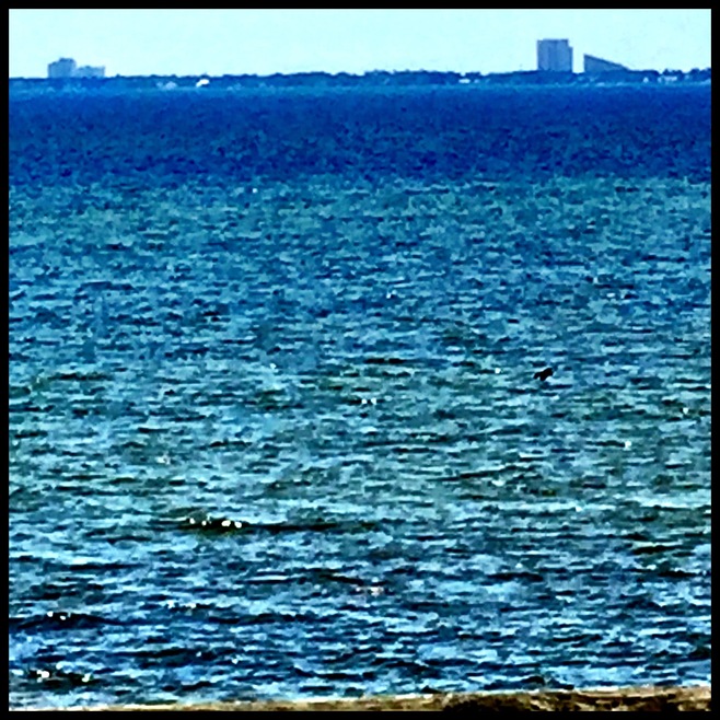 Just Steps To Bay At End Of Street