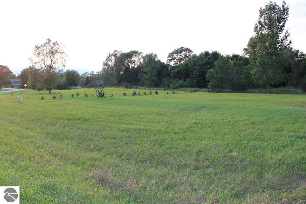TBD Bonanza Ln unit 2 LOTS, Lake Isabella, MI 48893 - photo 1