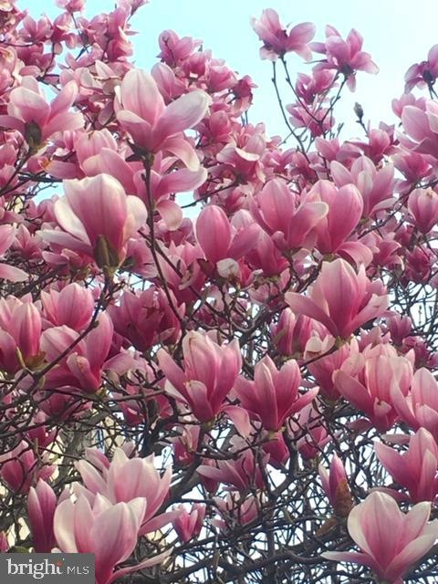 5155 Darting Bird Ln, Columbia, MD 21044 - photo 1