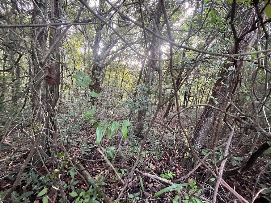 915 Annette Ave, Interlachen, FL 32148 - photo 1