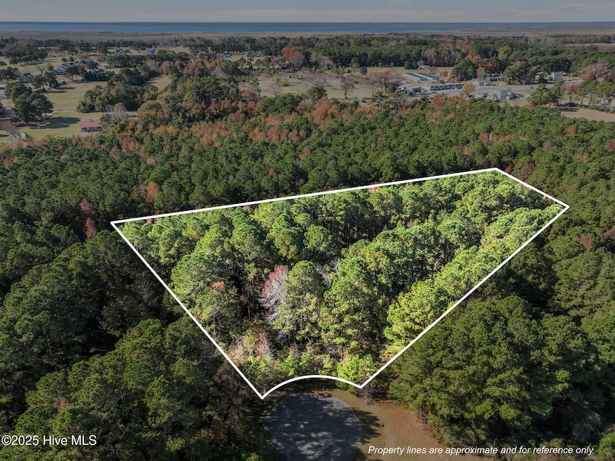 110 Betsy Ct, Grandy, NC 27939 - photo 1