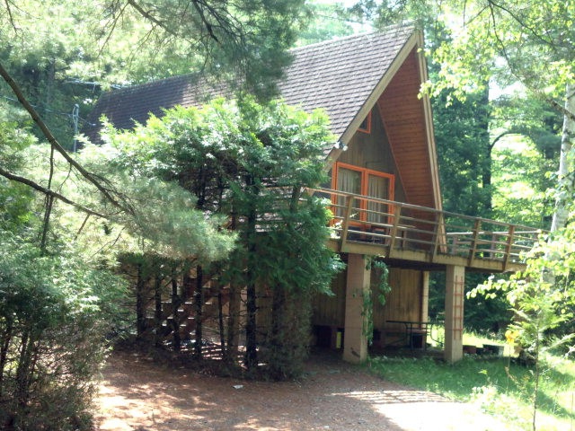 Main View