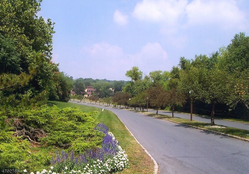 45 Hillside Ct unit 3, Clinton, NJ 08809 - photo 1