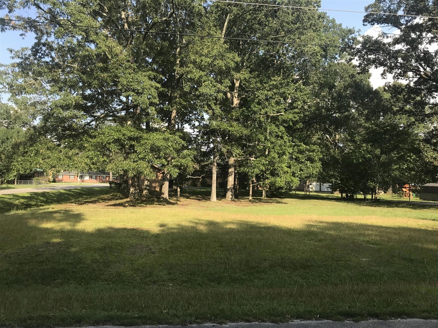 0 Belmont Dr, Manchester, TN 37355 - photo 1