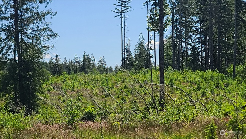 0 Logan Hill Rd unit NWM2254517, Chehalis, WA 98532 - photo 1