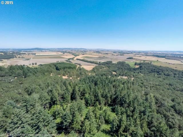 0 SW Vineyard Ln unit 15511353, McMinnville, OR 97128 - photo 1