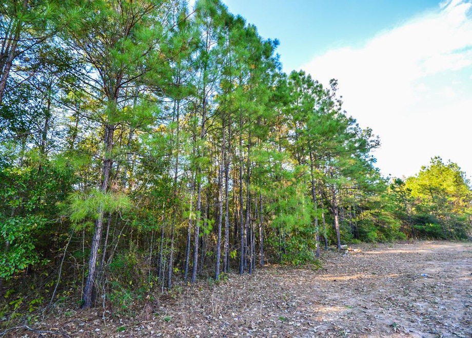 000 Deer Run Rd, Nacogdoches, TX 75964 - photo 1