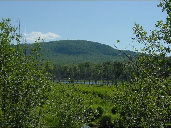 0 Newton Rd, Lowell, VT 05847 - photo 1