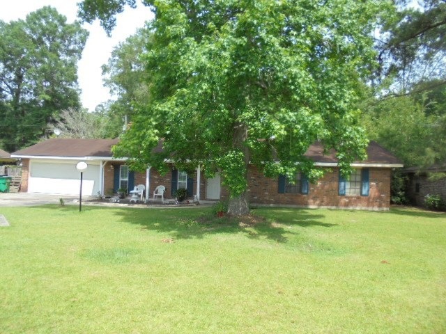 Main View