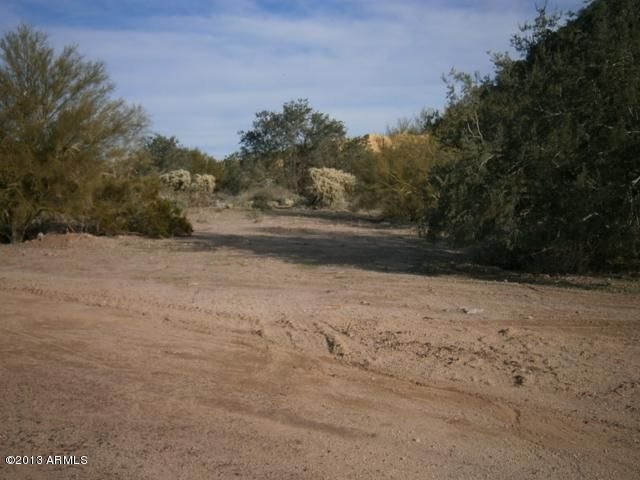 Image1