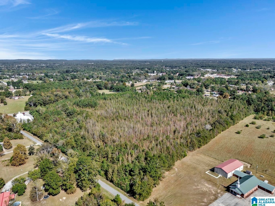 0 Hopewell Dr unit 21433405, Clanton, AL 35045 - photo 1