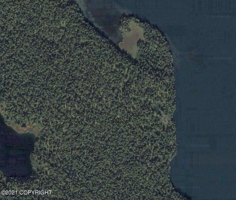Google Earth View