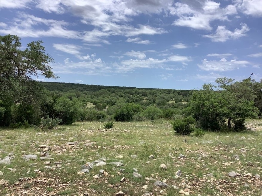 Lone Star Ranch Tract 71, Rocksprings, TX 78880 - photo 1
