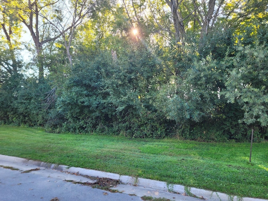 1204 3rd St NE, Oelwein, IA 50662 - photo 1