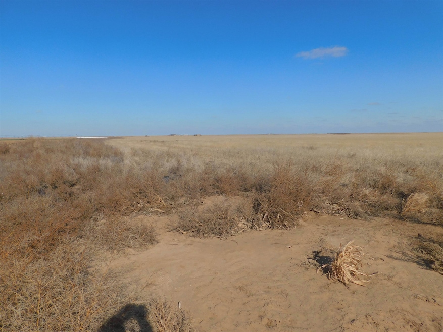 SW 1/4 13-6N-13 SW Texas County, Guymon, OK 73942 - photo 1
