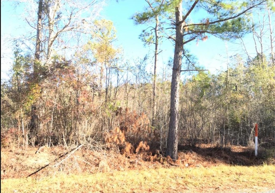 LOT 5 Scenic Route, Cordele, GA 31015 - photo 1