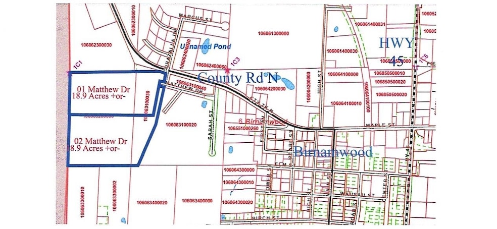 01 Matthew Dr, Birnamwood, WI 54414 - photo 1