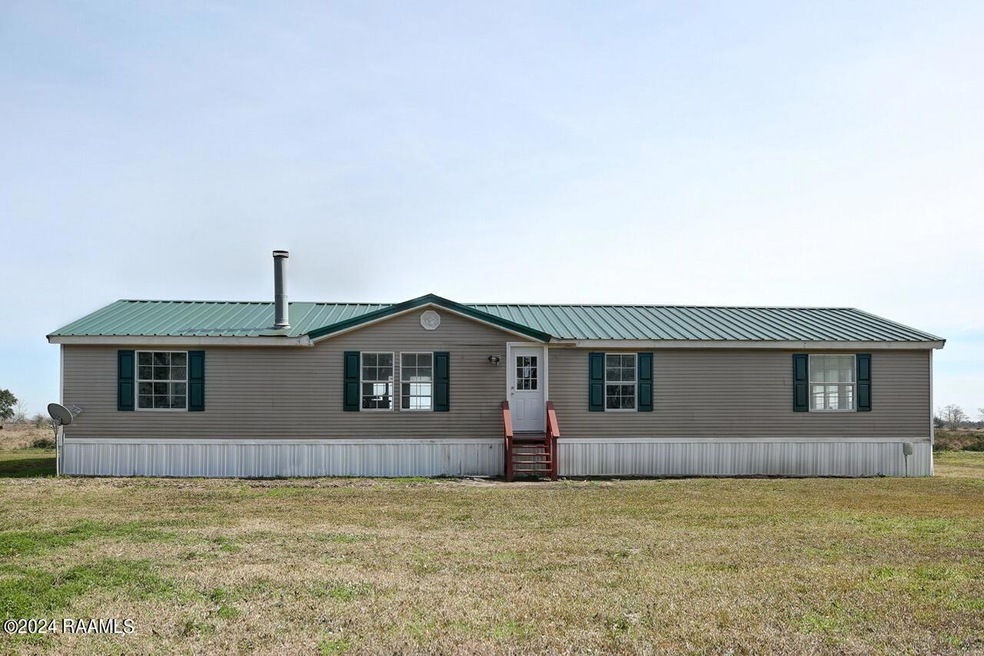13421Pecan-1 Large