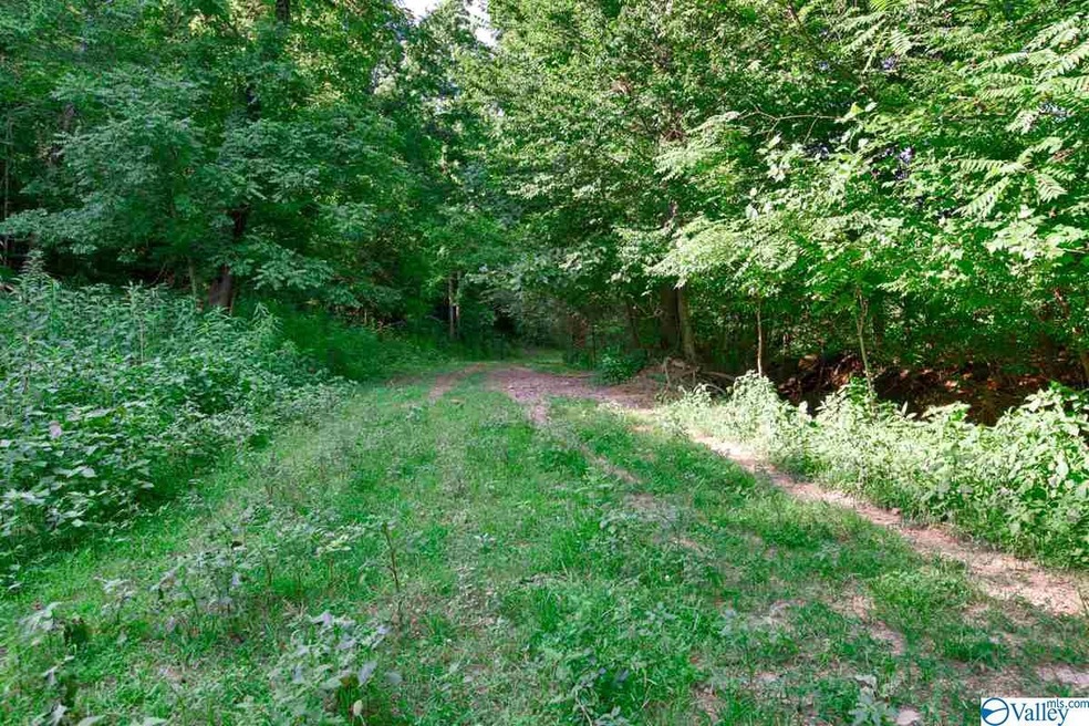 0 Shoal Creek Rd unit 1148561, Goodspring, TN 38460 - photo 1