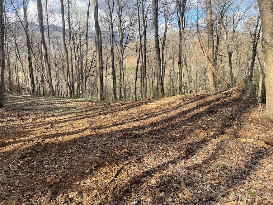 Lot 4 Copperhead Cove Rd, Sylva, NC 28779 - photo 1