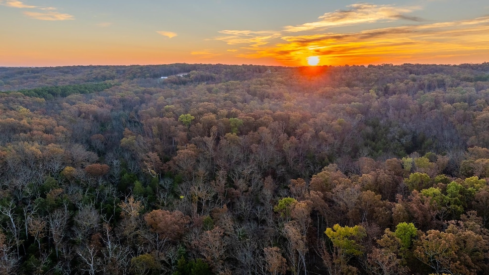 5785 Evergreen Loop, Leslie, MO 63056 - photo 1