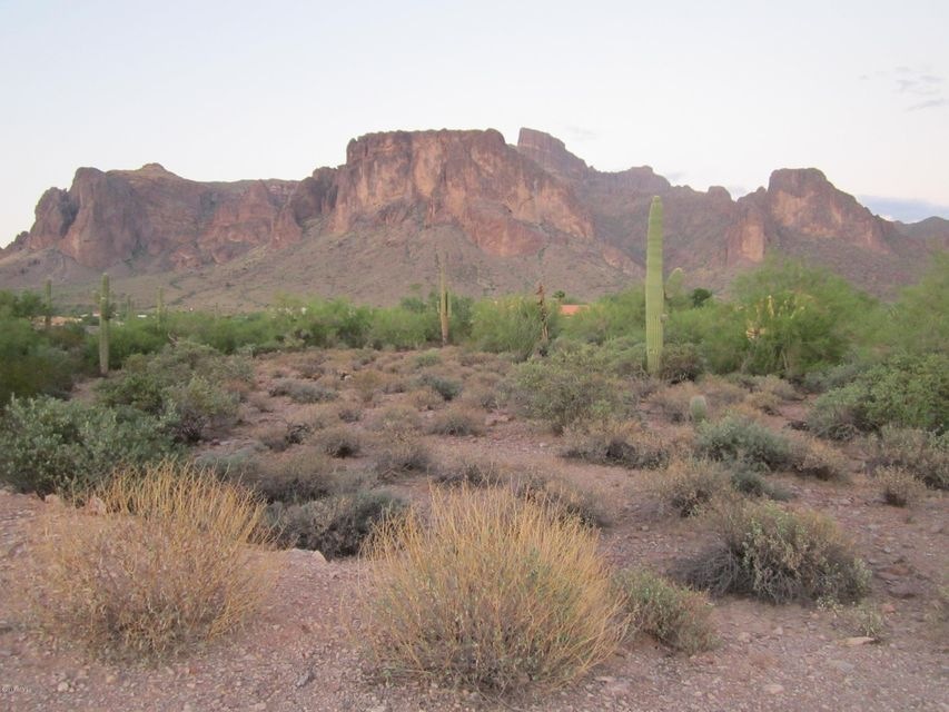Pioneer Superstition Mountain view