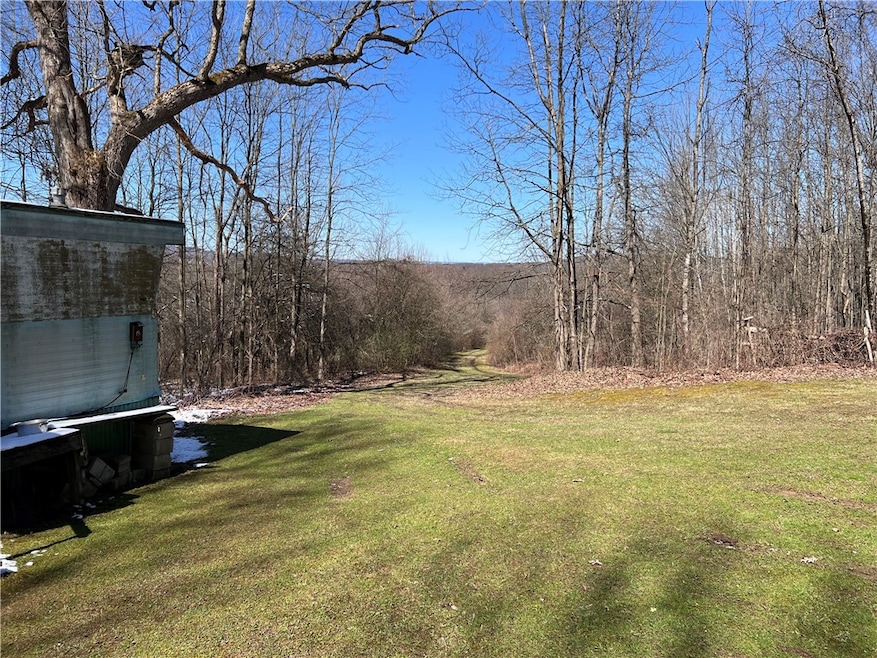 v/l Bunker Hill Rd, Cold Spring, NY 14772 - photo 1
