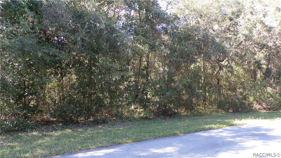 unlisted-address, Hernando, FL 34442 - photo 1