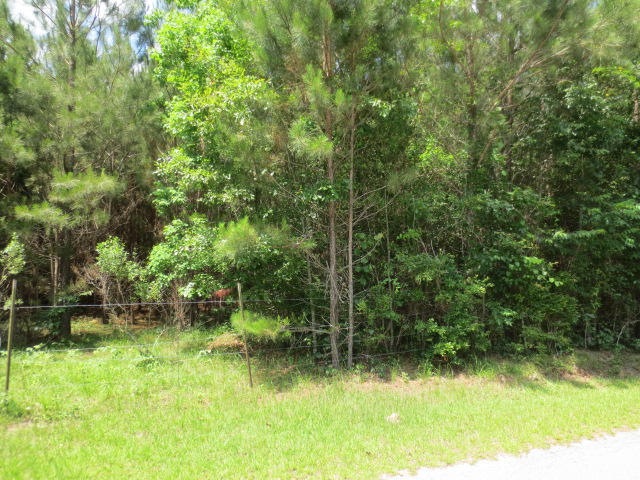 17 Lyon Dr, Laurel, MS 39440 - photo 1