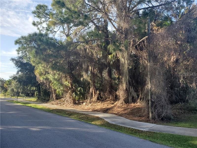 0 Pecan St unit N6108618, North Port, FL 34287 - photo 1