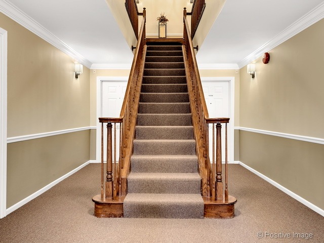 1098 Spring Garden Cir unit 8, Naperville, IL 60563 - photo 1