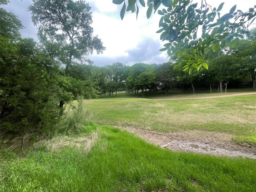 42103 Crooked Stick Dr, Whitney, TX 76692 - photo 1