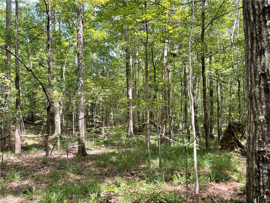 0 Lee Road 333 unit 153586, Salem, AL 36874 - photo 1