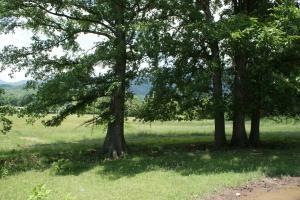 Bradley Farm
